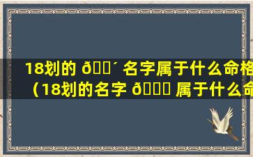 18划的 🌴 名字属于什么命格（18划的名字 🕊 属于什么命格的字）